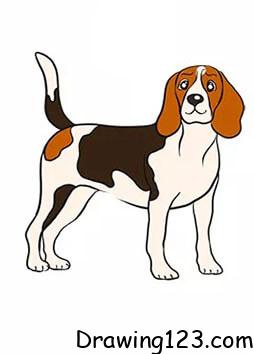 Dog Drawing Idea 13