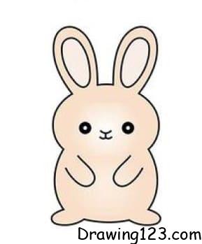 Rabbit Drawing Idea 14