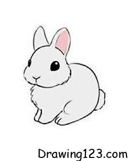 Rabbit Drawing Idea 16