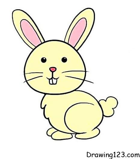 Rabbit Drawing Idea 17