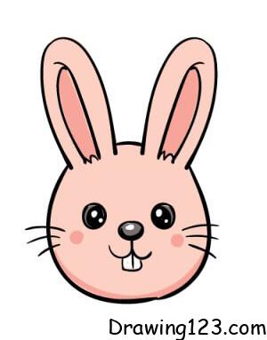 Rabbit Drawing Idea 21