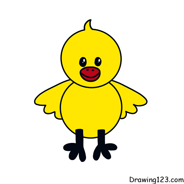 chick-drawing-step-9