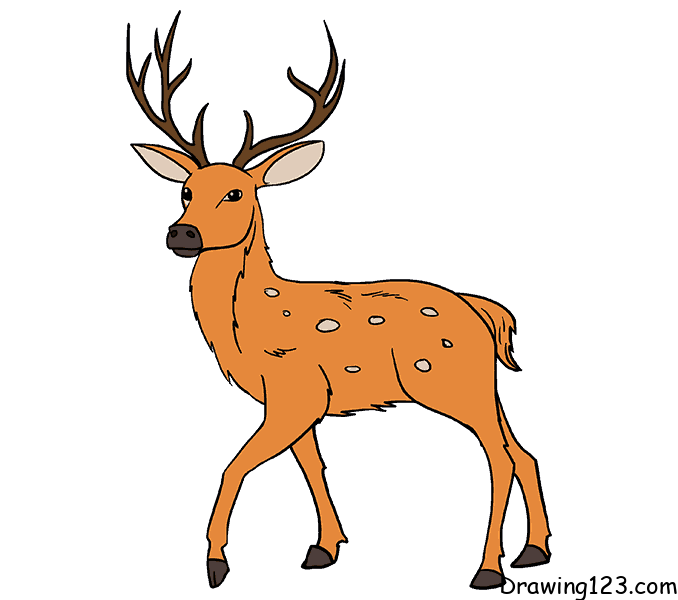 menggambar Rusa