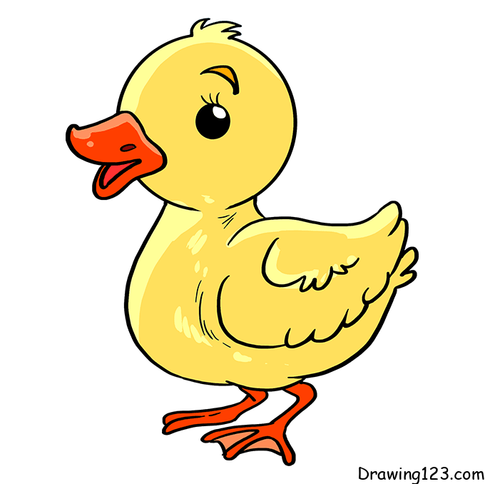 menggambar Bebek 