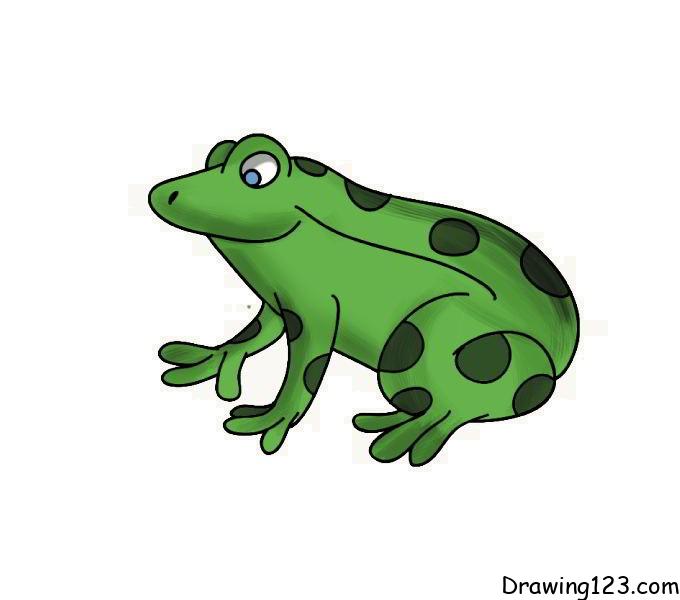 menggambar Katak