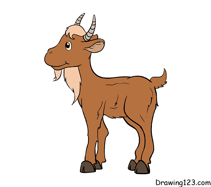 menggambar Kambing