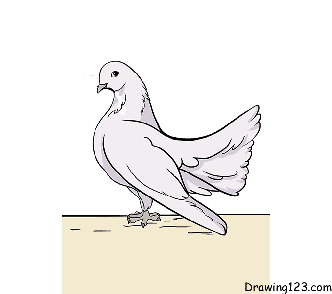 menggambar Merpati (Dove)