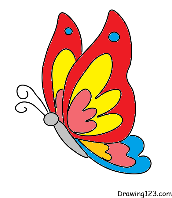 menggambar Kupu-kupu 