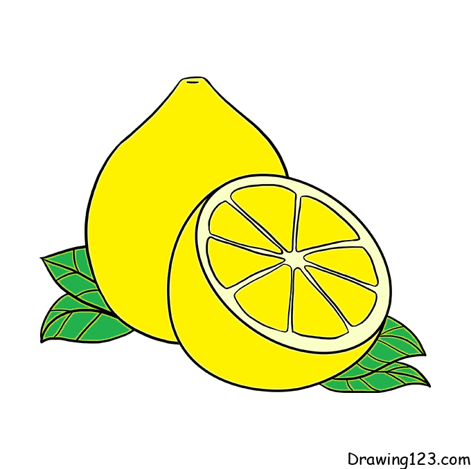 menggambar Jeruk nipis