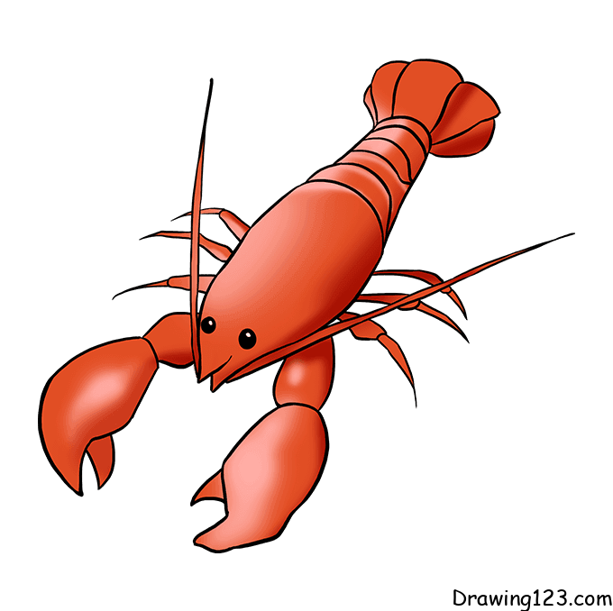 menggambar Udang