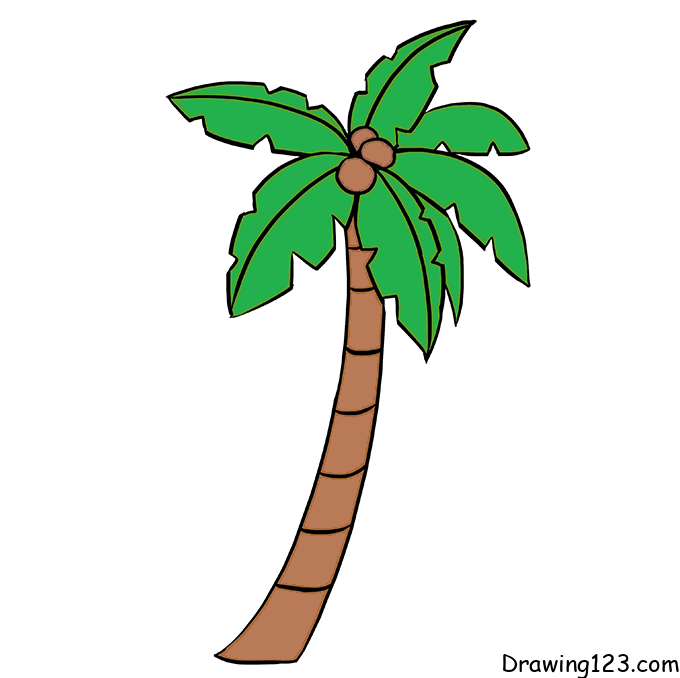 menggambar Pohon kelapa