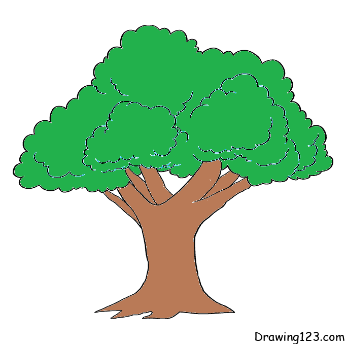 menggambar Pohon