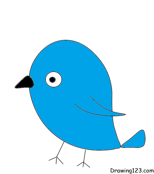 bird-drawing-step-8