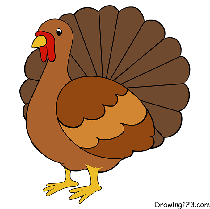 chicken-drawing-step-8