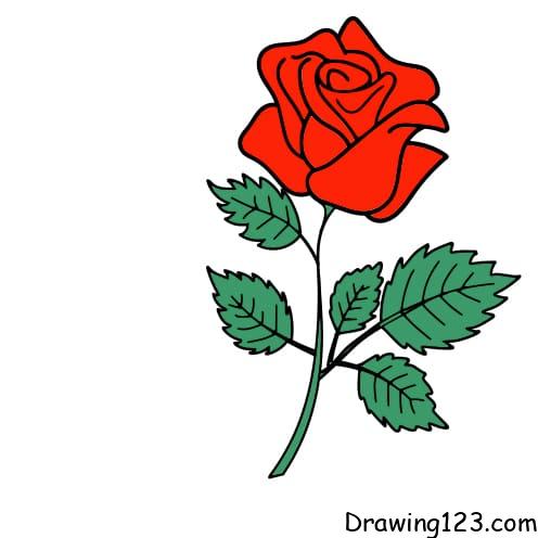 Rose-Step12