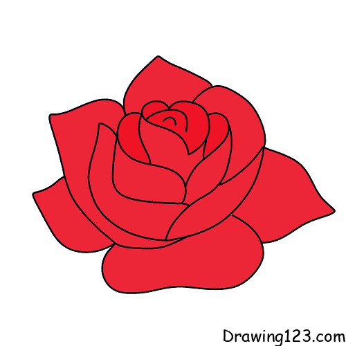 Rose-Step7-1