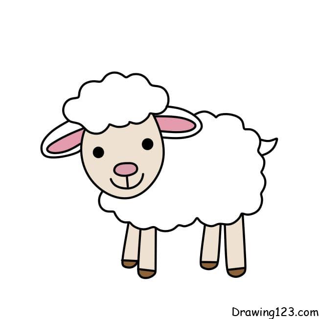 Drawing-sheep-step8