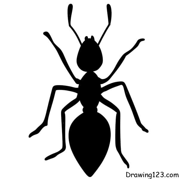 Drawing-an-ants-Step-8