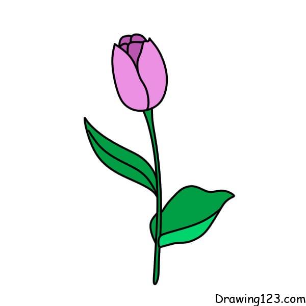 Desenhando-Tulipas-passo6