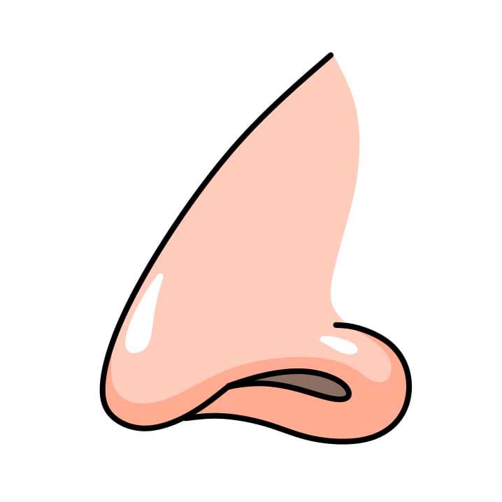 How-to-draw-a-nose-Step-4-5
