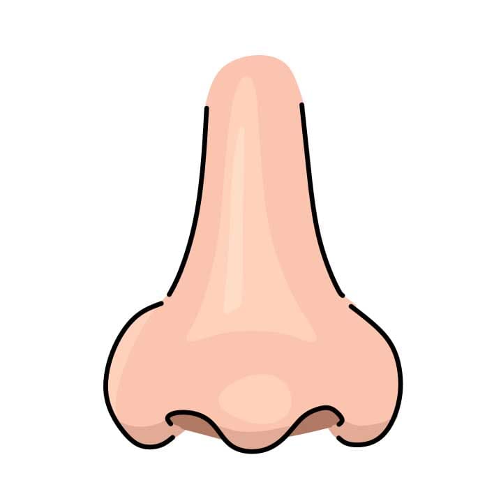 Hidung