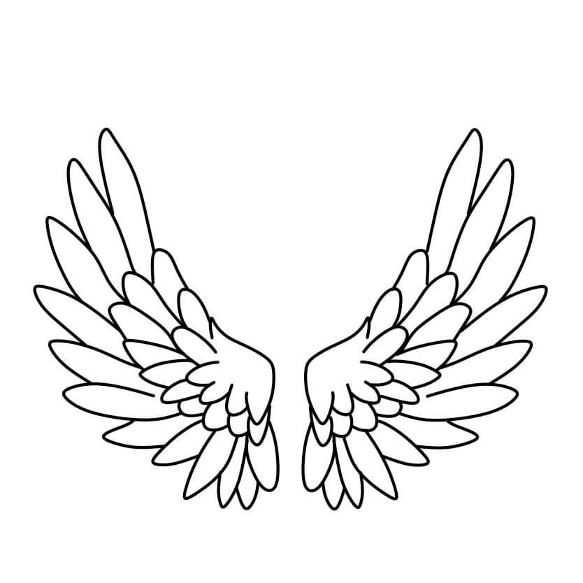 How-to-draw-angel-wings-Step-4-5
