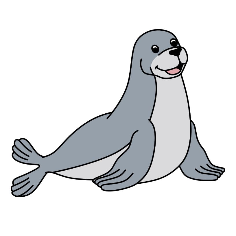 How-to-Draw-a-Seal-Step-8-5
