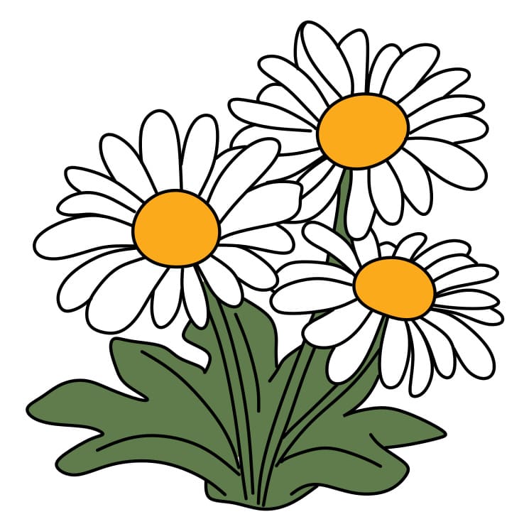 How-to-draw-daisy-Step-7-3