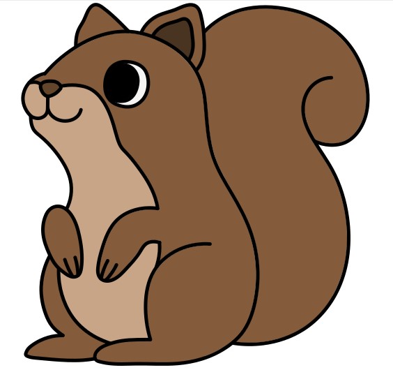 Squirrel 2 (11)