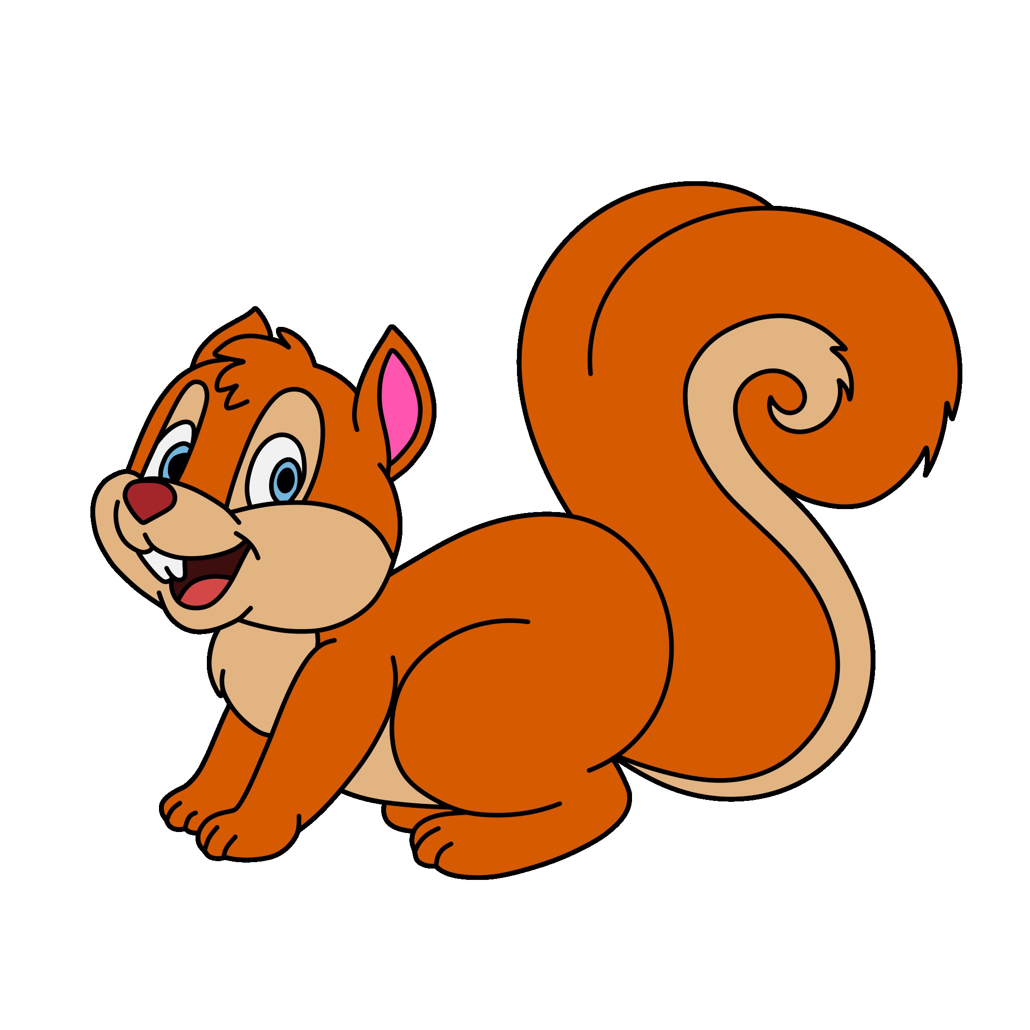 Squirrel 3 (12)