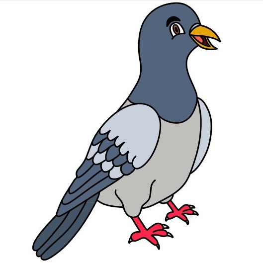 Dove 4 (11)