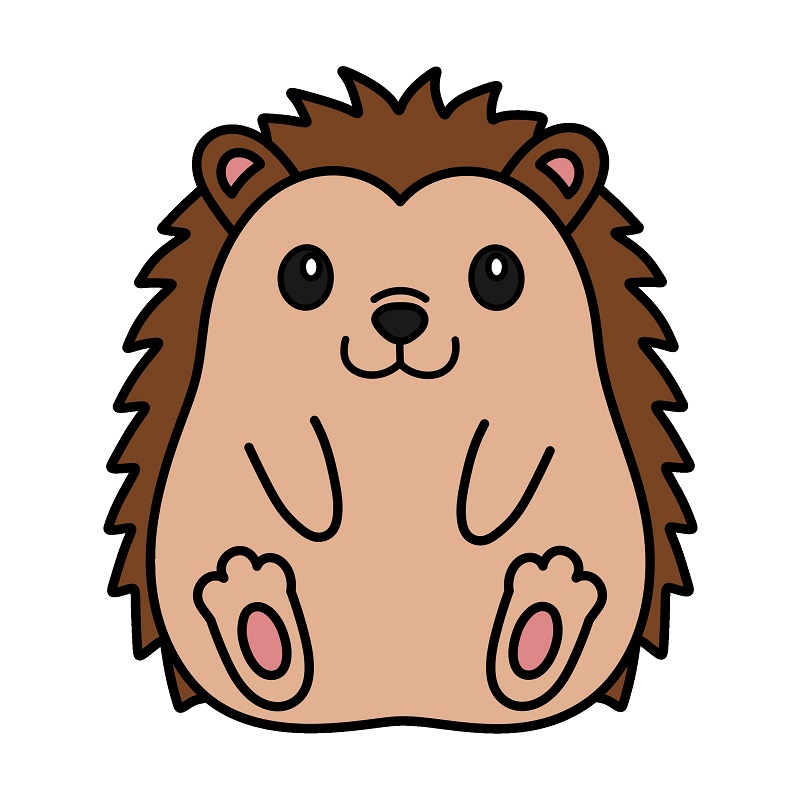 Hedgehog 4 (8)