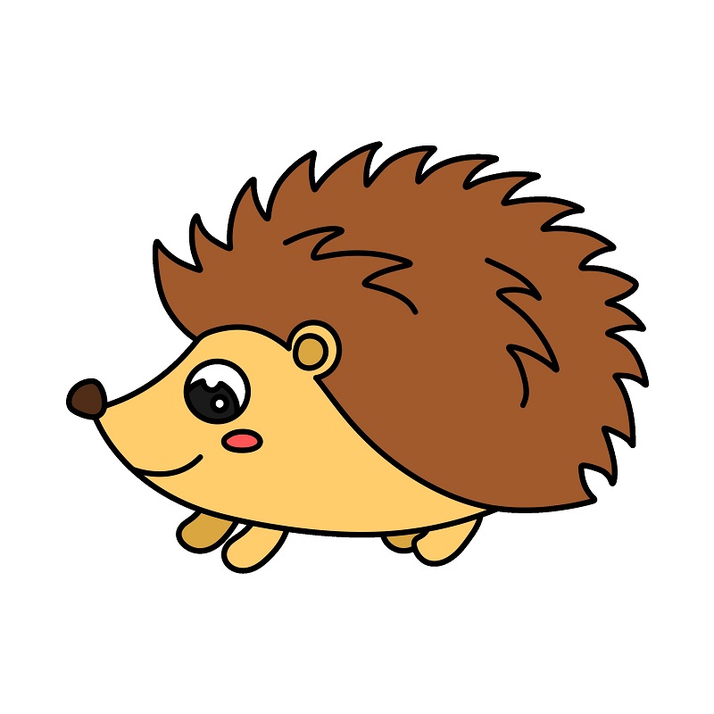 Hedgehog 5 (8)
