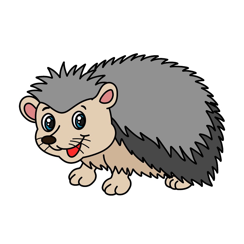 Hedgehog 6 (11)