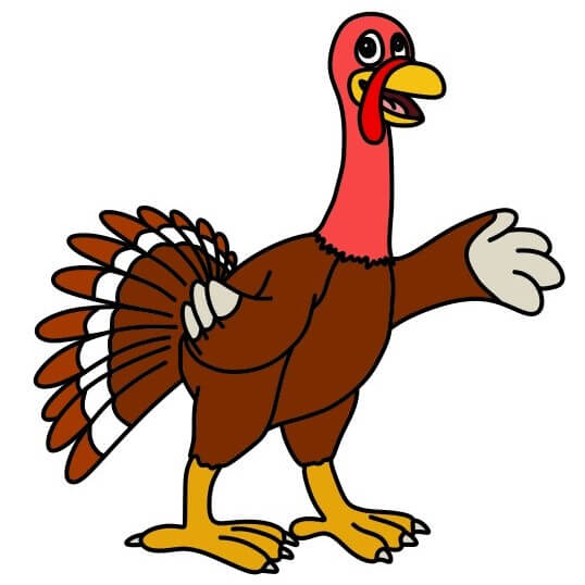 menggambar Ayam Kalkun