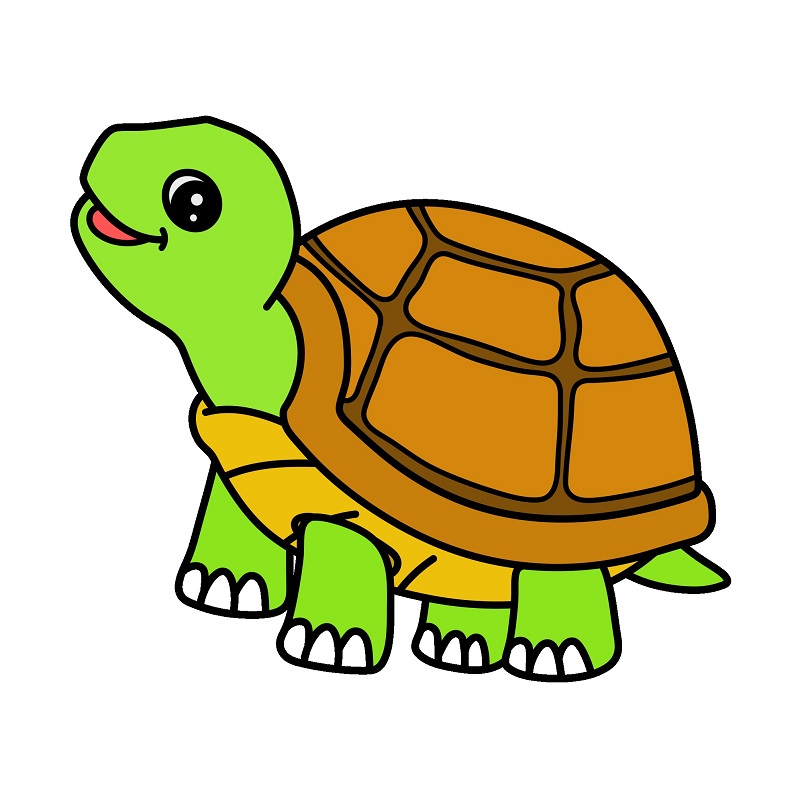 Turtle 5 (8)