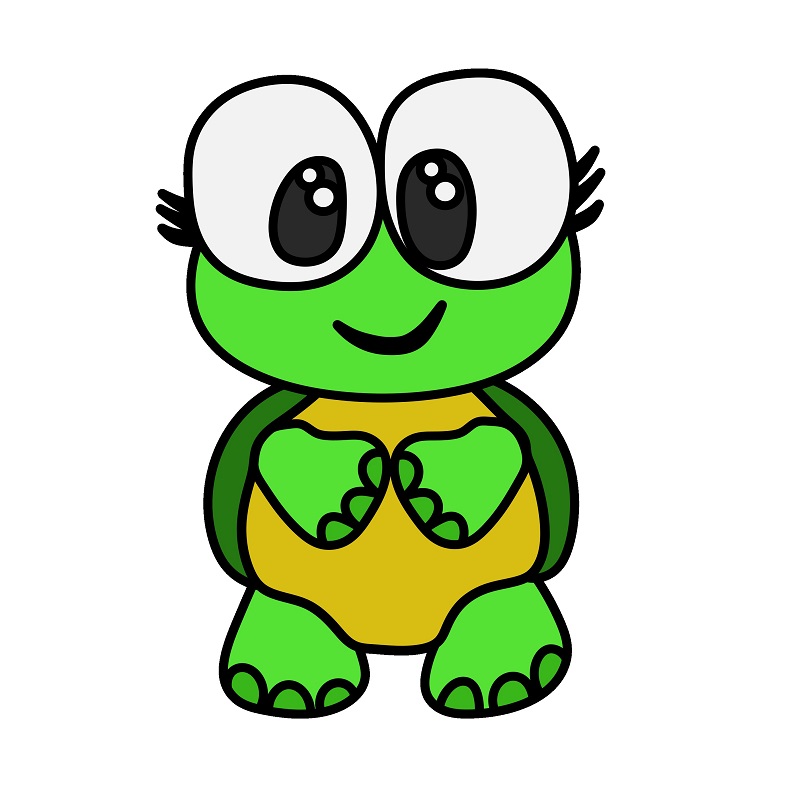 Turtle 6 (9)