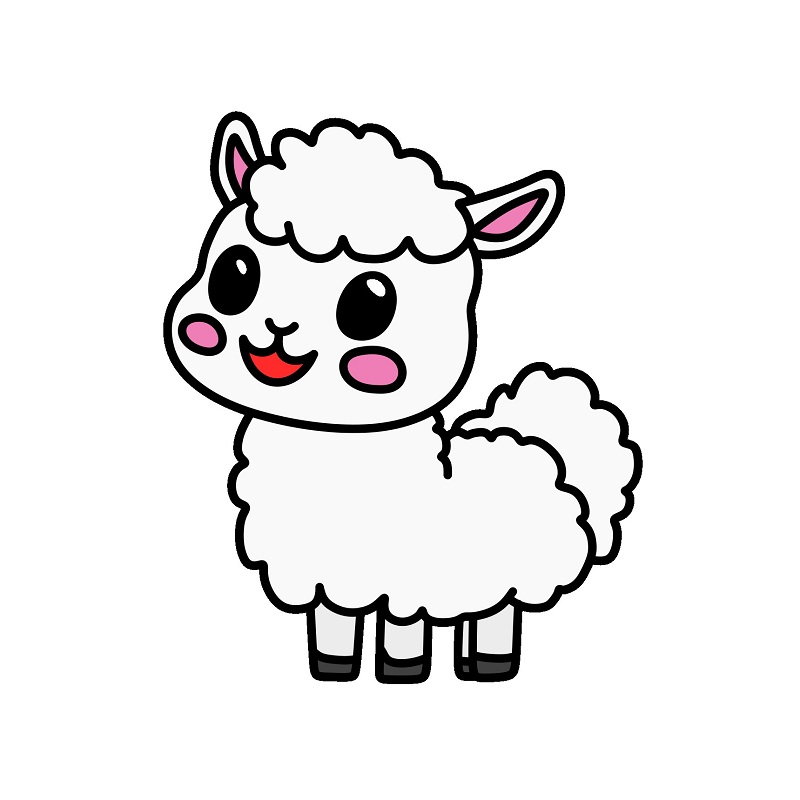 llama 6 (9)