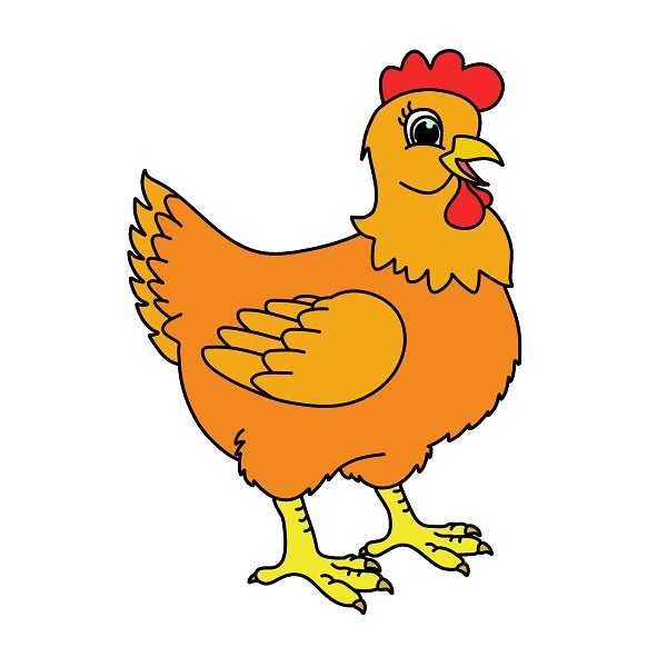 menggambar Induk ayam