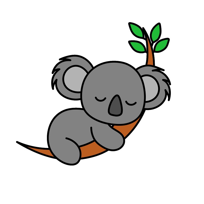 Koala 1 (8)