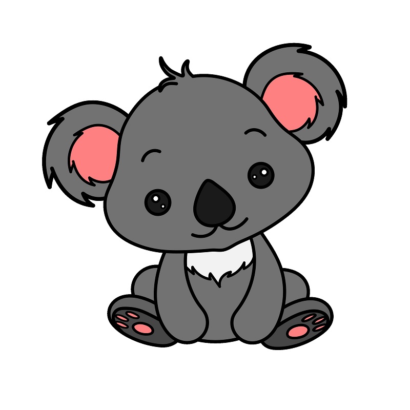 Koala 3 (10)
