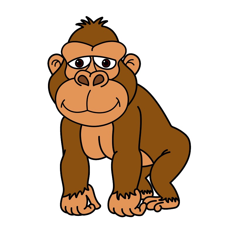 Gorilla 6 (9)