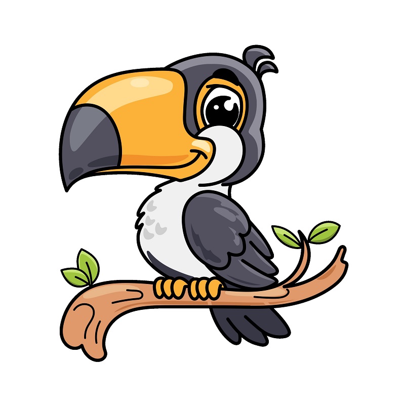 Burung Toucan